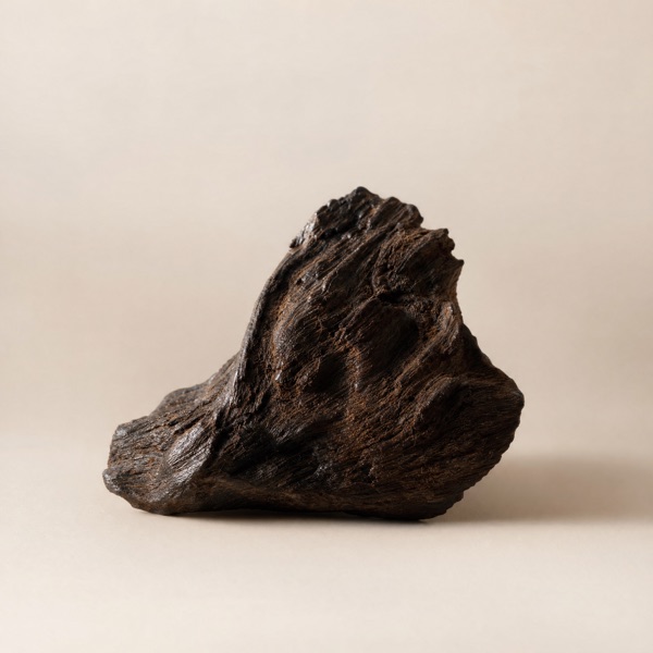 Legno di Oud